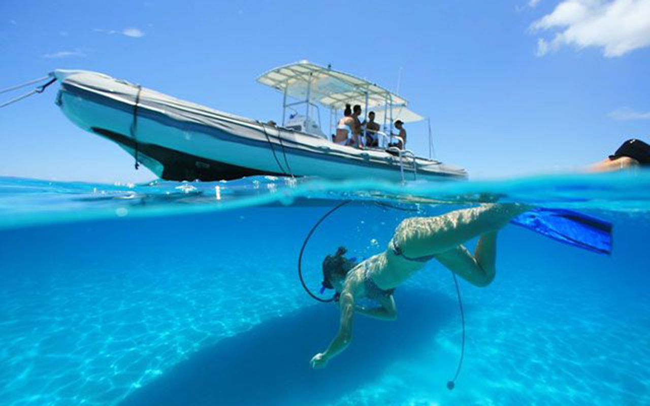 SNORKELING TRIP FROM DIVE BOAT