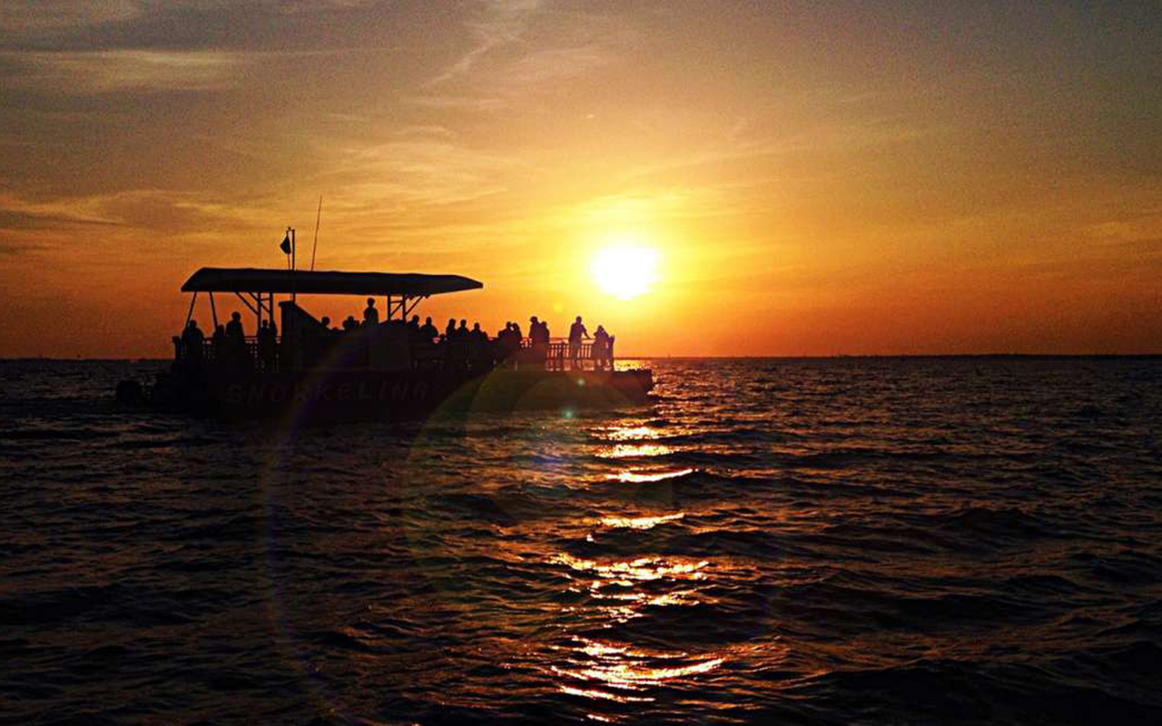 DOLPHIIN SUNSET CRUISE